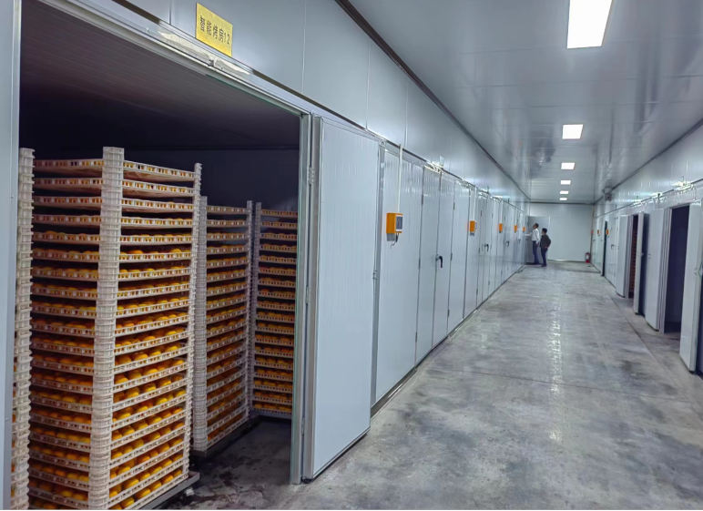 喜讯！广西3个案例入选全国农产品初加工关键环节机械化应用典型案例 非食用农产品初加工